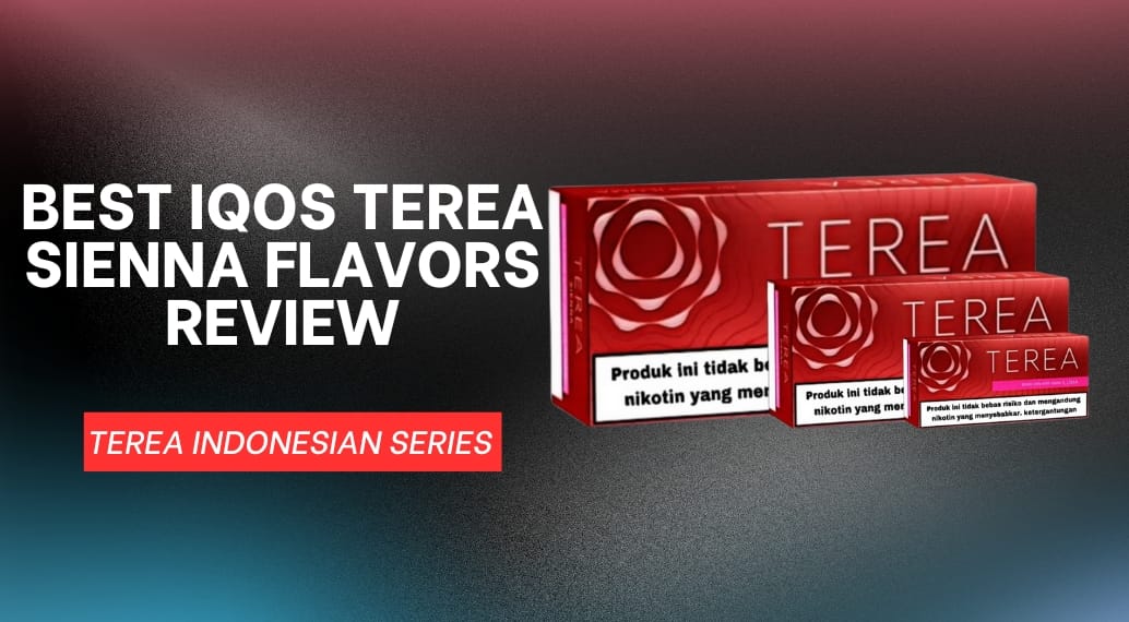 Best IQOS Terea Sienna Flavors Reviews - Terea Heets Dubai